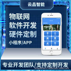 福建行業(yè)軟件 探索區(qū)域軟件開發(fā)特色與未來